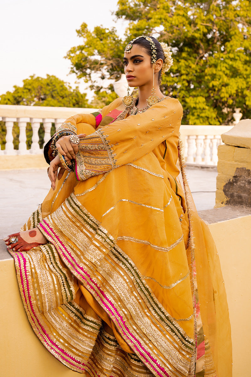 Sarosh Solar SAROSH - Souchaj