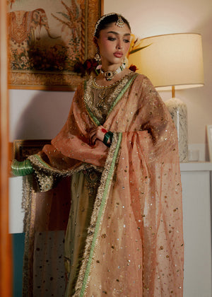 Mehrnoor