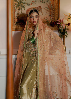 Mehrnoor
