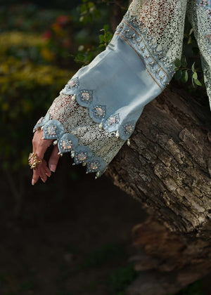 Aurora Veil