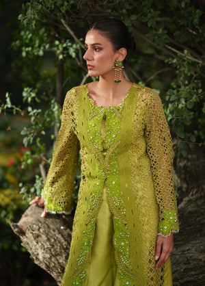 Verdant Jewel