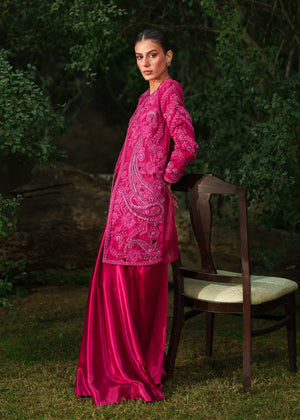 Ruby Orchid