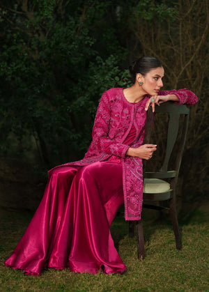 Ruby Orchid
