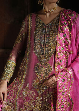 Gulnaar