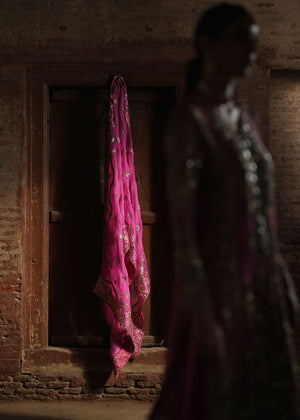 Gulnaar